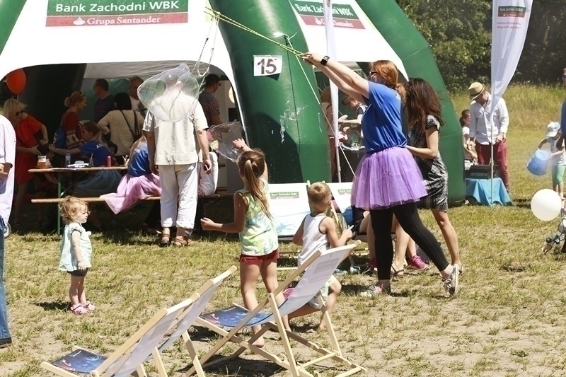 PIKNIK 2016