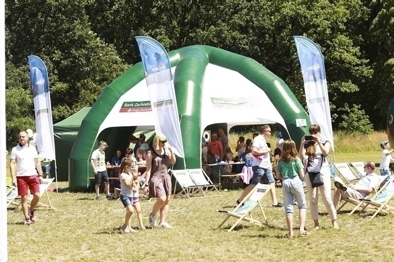 PIKNIK 2016