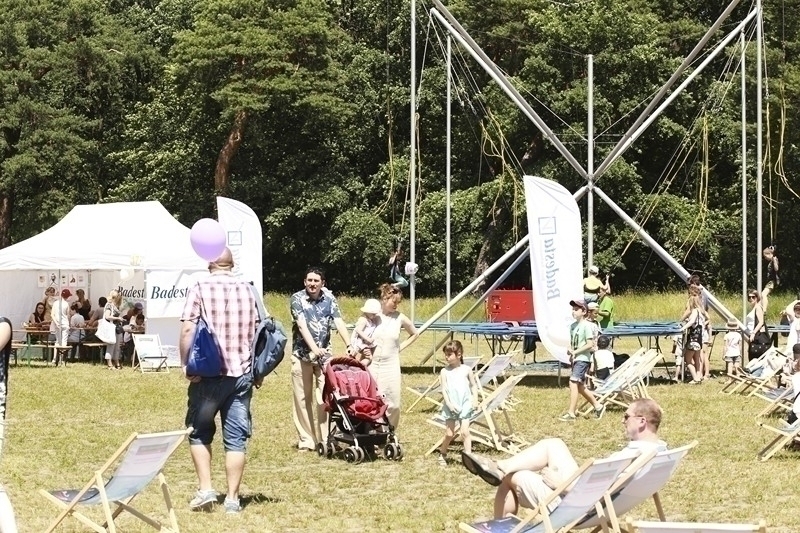 PIKNIK 2016