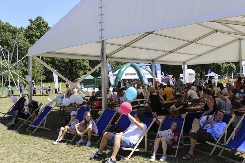 PIKNIK 2016