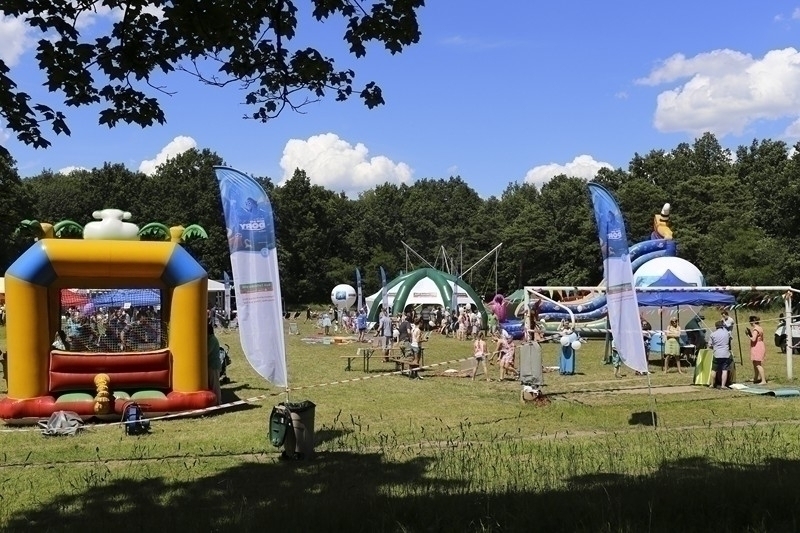 PIKNIK 2016