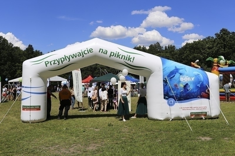 PIKNIK 2016