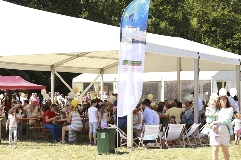 PIKNIK 2016