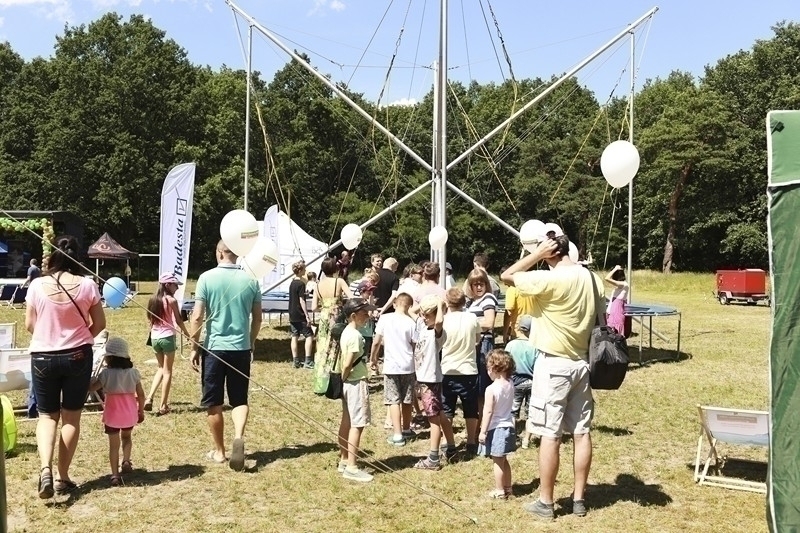 PIKNIK 2016