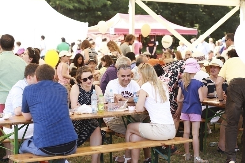PIKNIK 2016