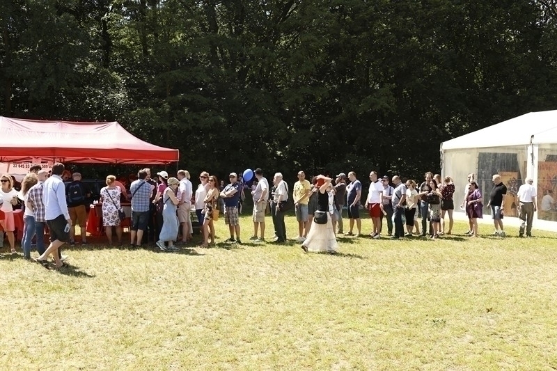 PIKNIK 2016
