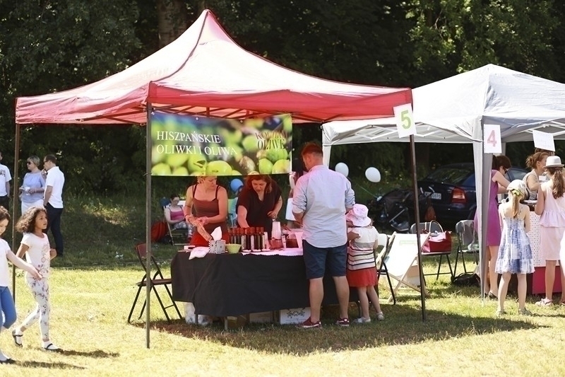 PIKNIK 2016