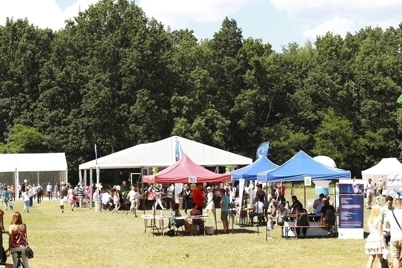 PIKNIK 2016