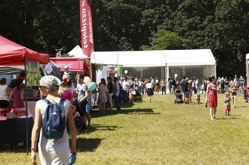 PIKNIK 2016