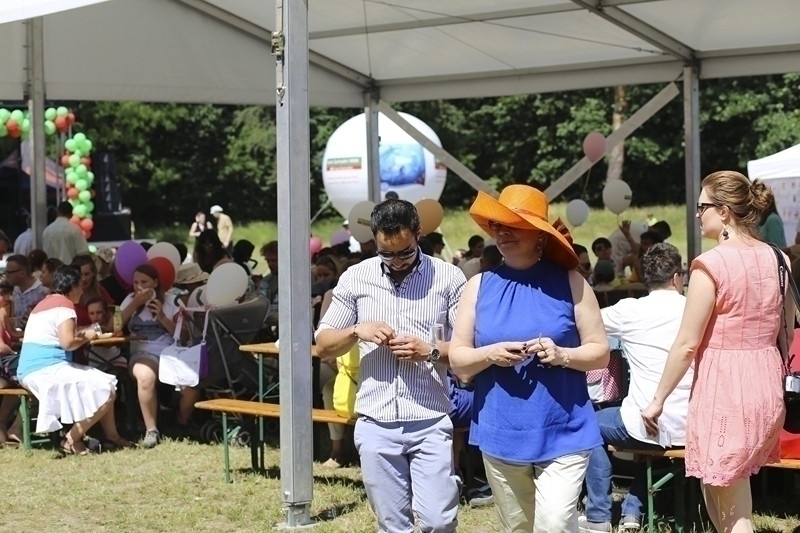 PIKNIK 2016