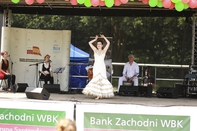 PIKNIK 2016