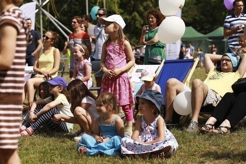PIKNIK 2016