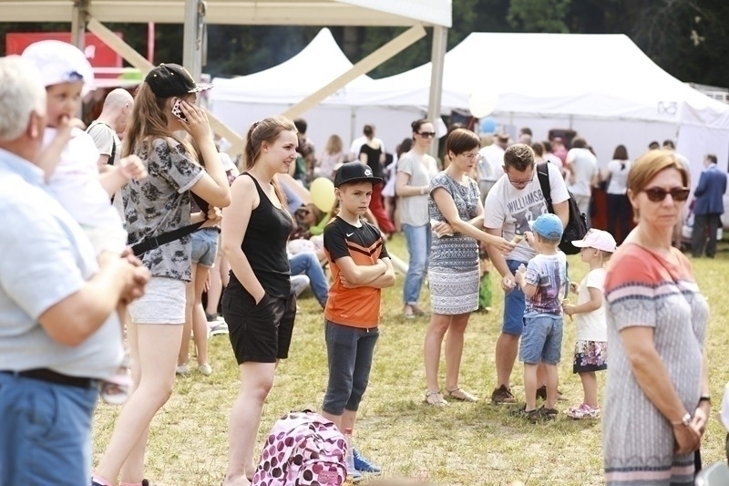 PIKNIK 2016