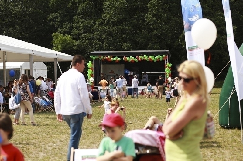 PIKNIK 2016