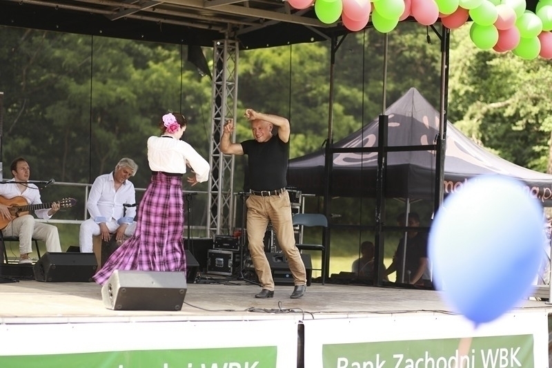 PIKNIK 2016