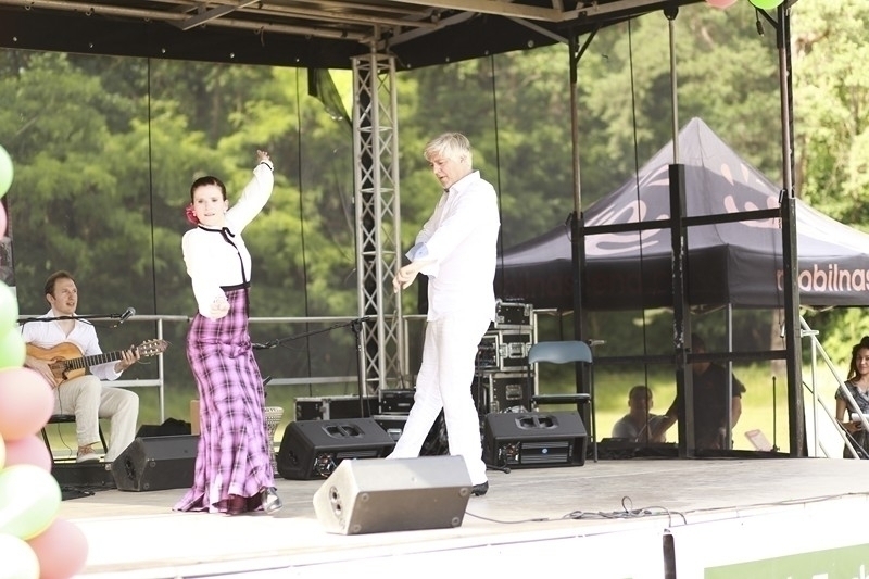 PIKNIK 2016