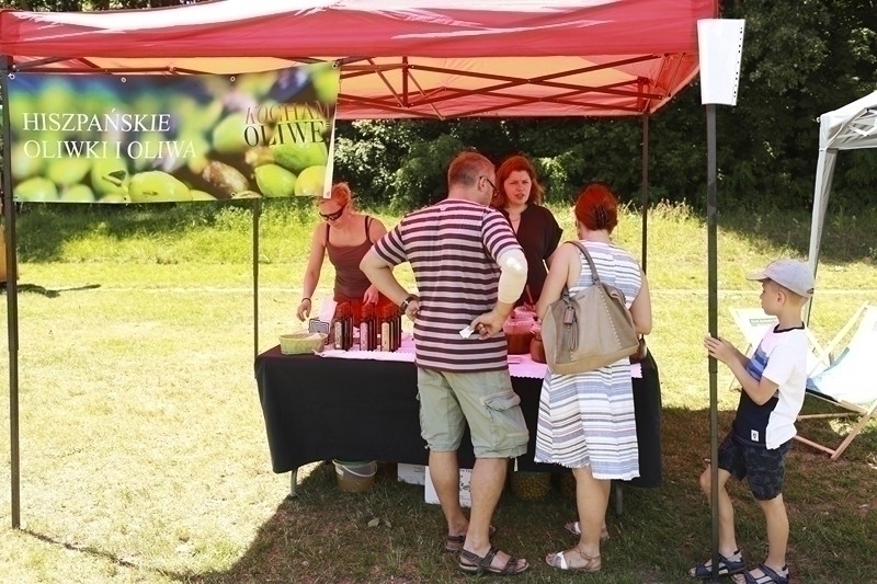 PIKNIK 2016