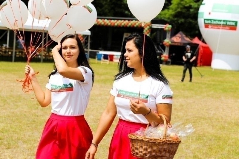 PIKNIK 2015