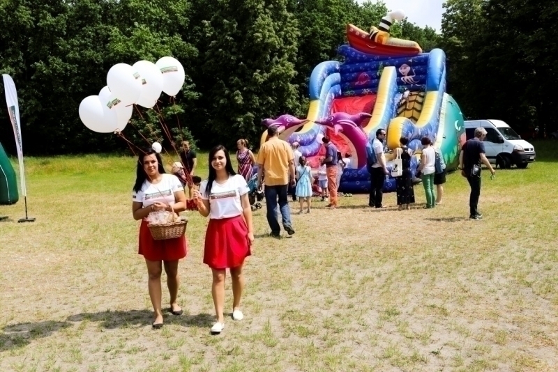 PIKNIK 2015