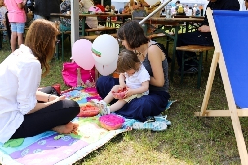 PIKNIK 2015