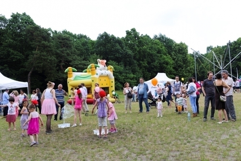PIKNIK 2015
