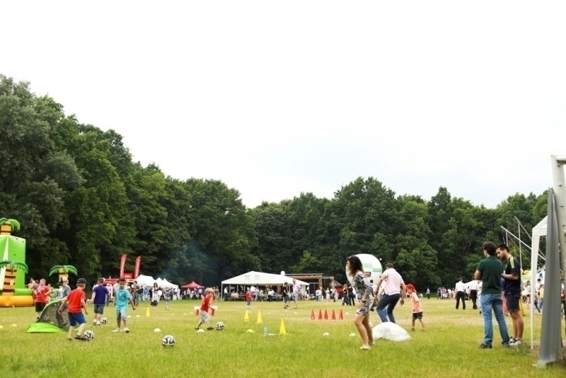 PIKNIK 2015