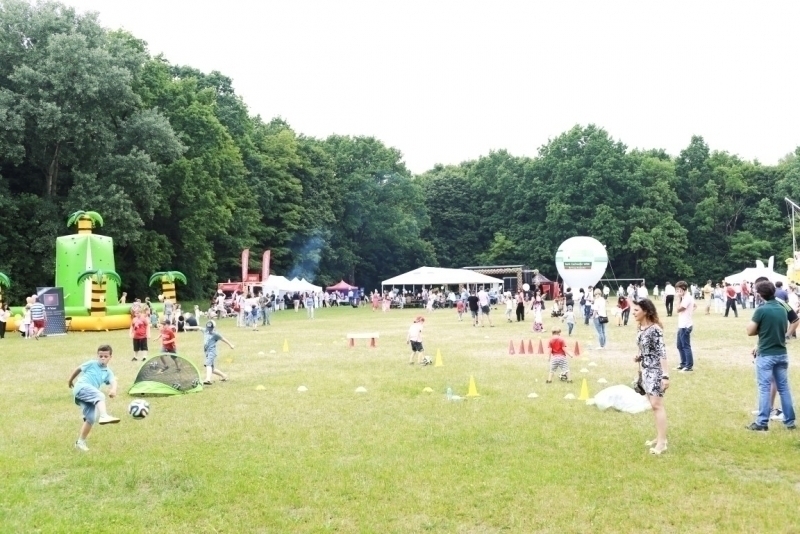 PIKNIK 2015
