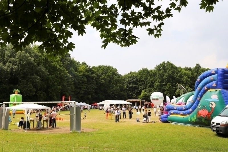 PIKNIK 2015