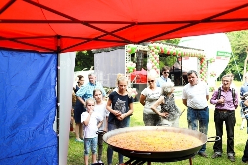 PIKNIK 2015