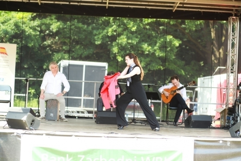 PIKNIK 2015