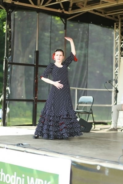 PIKNIK 2015
