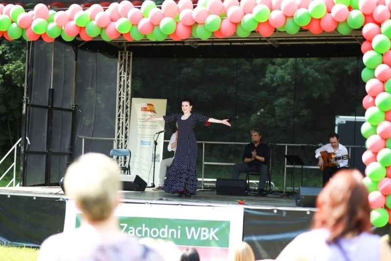 PIKNIK 2015